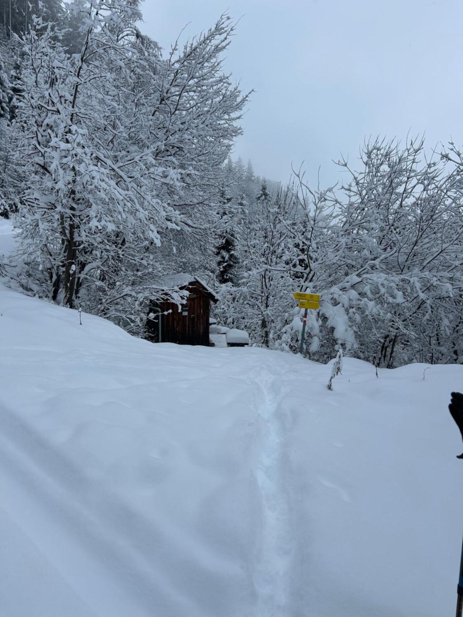 Haus Laubreuter Apartment Kaprun Bagian luar foto